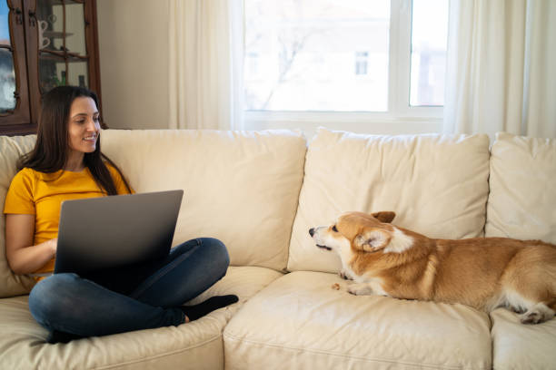 istock A girl stoking her pet dog 1952536001