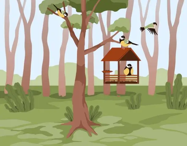 Vector illustration of Forest landscape with feeder and flying birds. Animals feeding. Summer nature scenery. Titmouse in bird house. House on tree branches. Birdwatching or caring of birdies. Vector concept