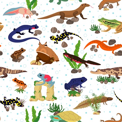 Seamless pattern with amphibians. Frogs and aquatic tritons. Terrarium creatures. Tropical fauna. Repeated print. Wild nature. Amphibious animals. Water crocodile. Toads and newts. Vector background