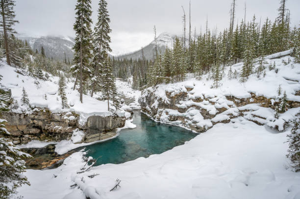 istock Tokumm Creek at Marble Canyon 1952548502