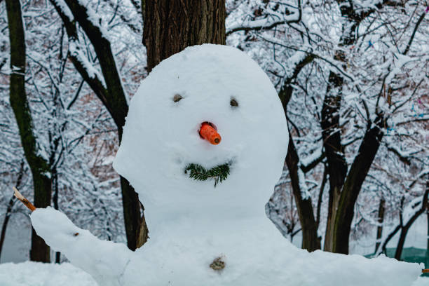 a snowman in the midst of a snowy winter forest or a park created by children's hands. A snowman with a smiling face, with a carrot instead of a nose and branches as hands, looks friendly and childishly sincere.