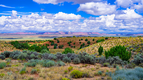 Green grassy prairie and sky with cumulus in Utah, along highway 89 near Le Fevre Overlook, with Grand Staircase Escalante in the distance.