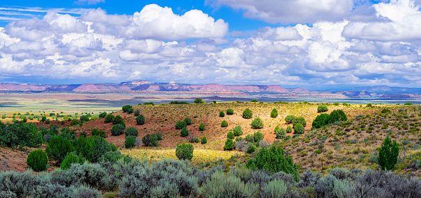 Green grassy prairie and sky with cumulus in Utah, along highway 89 near Le Fevre Overlook, with Grand Staircase Escalante in the distance.
