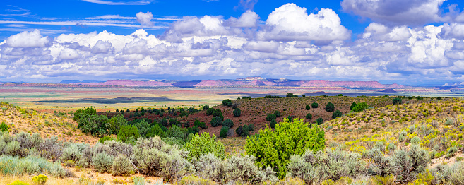 Green grassy prairie and sky with cumulus in Utah, along highway 89 near Le Fevre Overlook, with Grand Staircase Escalante in the distance.