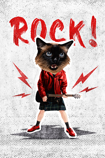 Poster. Contemporary art collage. Crazy rock star, human with cat's head holding electric guitar and singing creative energetic music. Concept of Rock-n-roll day, concert, festival. Magazine style.