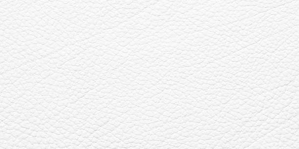 istock luxury cow leather texture, white natural background 1952620156