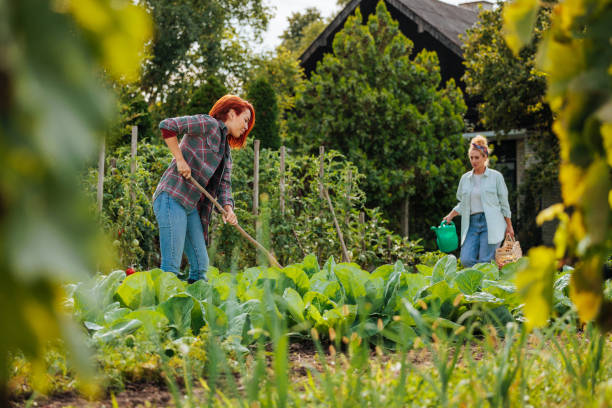 istock Two women in garden working hard 1952624460
