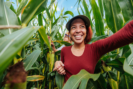 Female farmers wearing a headkerchief and a cap while walking through the corn field and laughing