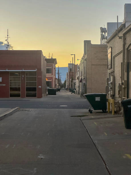 istock An ally way at dawn with dumpsters lining the path 1952629741