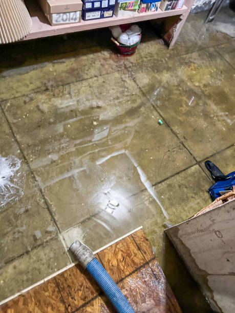 istock Water being extracted from a basement after an irrigation leak 1952632886