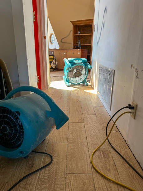istock Air movers in a hallway after a water loss 1952632893