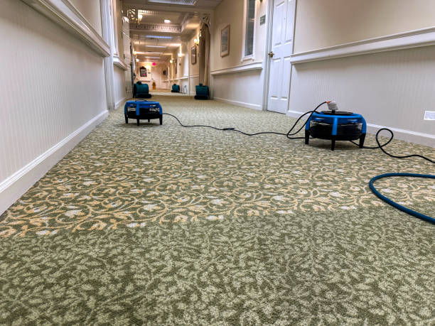 istock Some air movers drying out the carpet after cleaning 1952635027