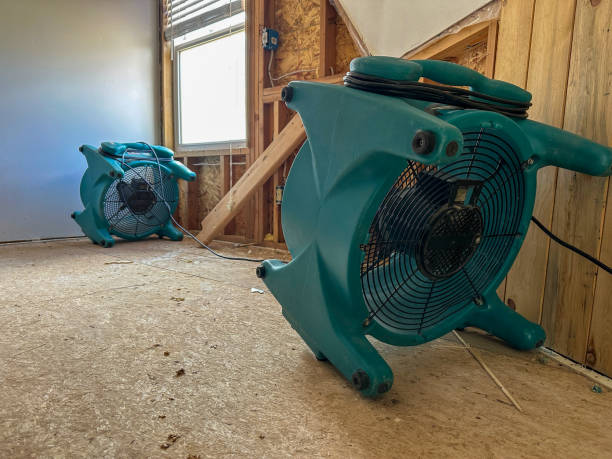 istock Two air movers in a home drying out the structure after a water loss 1952635539