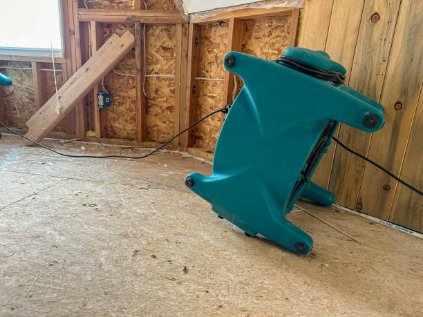 istock An air mover pointing toward a wall to aid in drying 1952635541