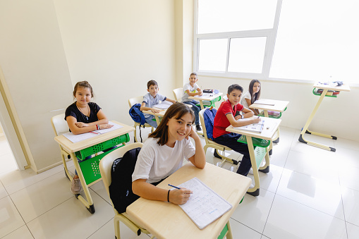 Portrait of happy school children sitting at the desk on lesson in classroom while writing\n\nA high angle view portrait of a group of concentrated small school children sitting at their desks, writing in a high school classroom. The boy and girl teenager students are engaged in their lesson and smiling towards the camera
