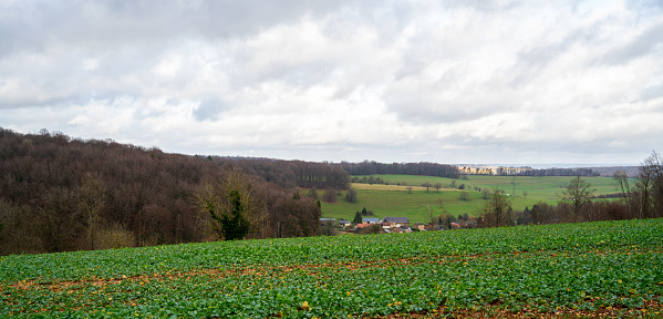 Meadow in a rural area in Northern France