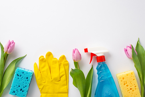 Neatness with cleaning solutions abstract. Flat lay top view image showcasing cleaning sponges, gloves, spray nozzle, natural tulips on a white surface, offering space for text or promotional content
