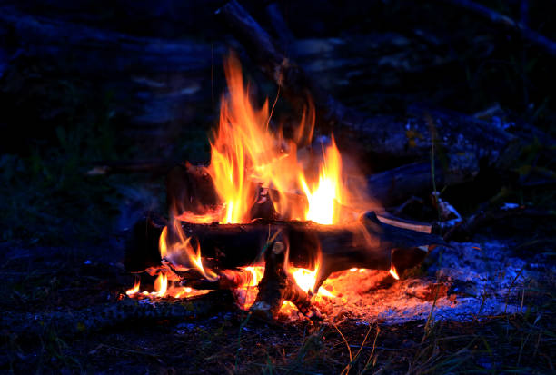 istock burning wood in dark 1952676090