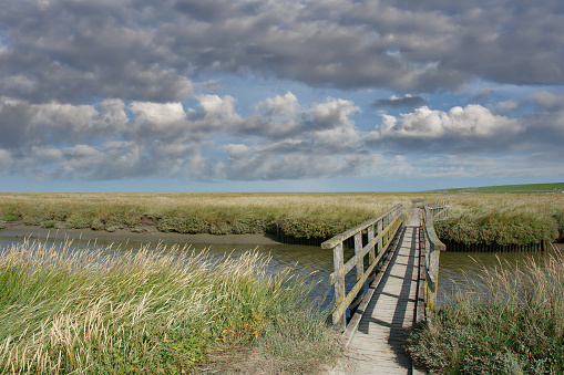 Salt Marsh at North Sea in North Frisia close to Westerhever Lighthouse,Eiderstedt Peninsula,Germany