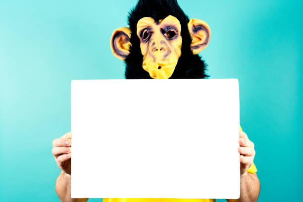 Human with a monkey mask holds a white board, advertising concept.