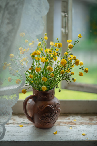 Still-life. A bouquet of yellow wildflowers near the window.