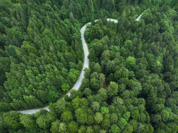 istock Aerial View On Winding Road 1952688100