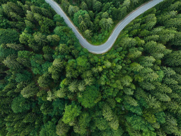 istock Aerial View On Curvy Road 1952688101