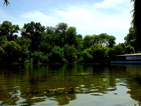 Bucharest Summer Sunny Blue Sky Green Forest Pond Reflection