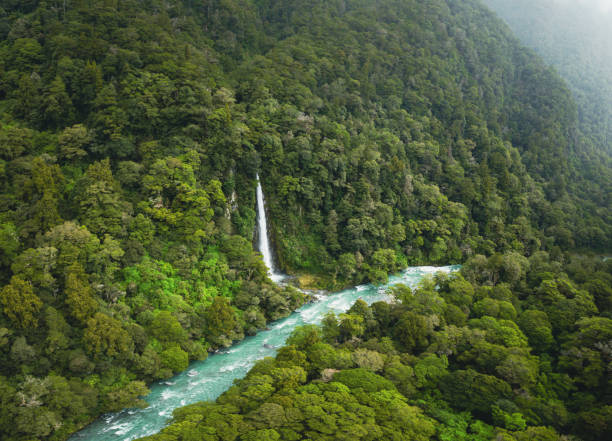istock New Zealand's Pristine Waterfall: Nature's Green Oasis 1952705458