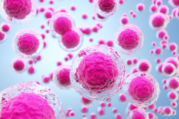 istock human cells or stem cells - 3D Illustration 1952709160
