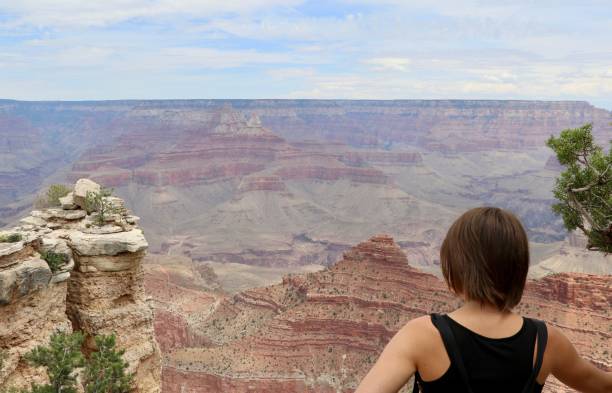 istock View from the Grand Canyon - USA 1952711825