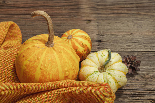 Autumn composition on wooden background. Assortment of decorative pumpkins, berries and fall leaves. Traditional symbol, festive design, copy space
