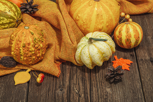 Autumn composition on wooden background. Assortment of decorative pumpkins, berries and fall leaves. Traditional symbol, festive design, copy space