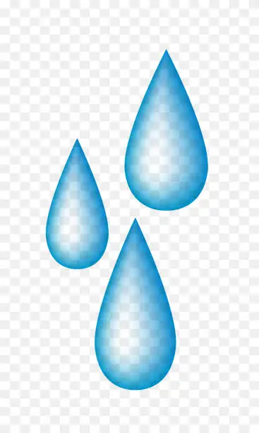 Vector illustration of Water drops. Water drops isolated on transparent background. Vector clipart.