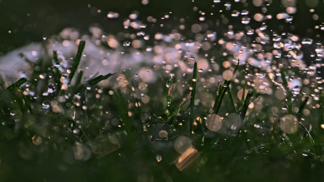 SUPER SLO MO Nature's Serenade: Raindrops Dance in Super Slow Motion Over Verdant Green Grass