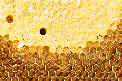 Honey in a jar and a honeycomb on gray background. Top view, flat lay
