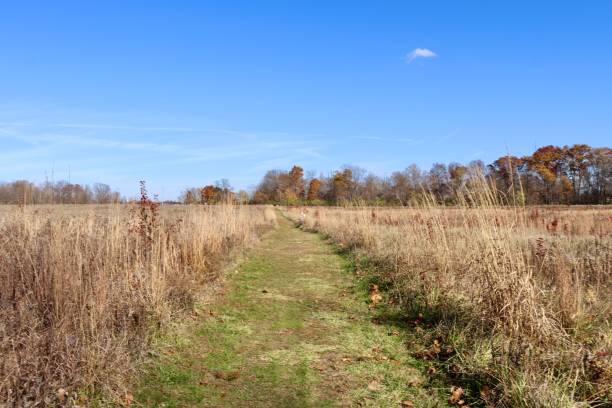 istock Grass Trail in the Field 1952769154