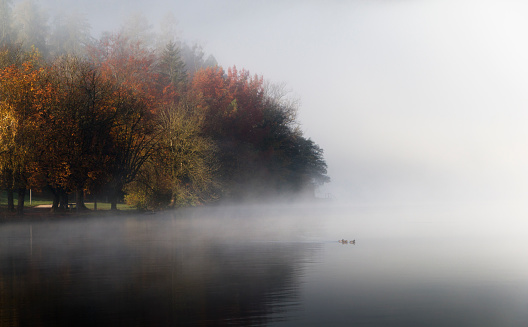 Two fishermen on a boat fishing in a lake at misty weather