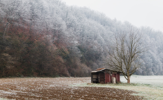 Forsaken cottage under the tree. An abandoned hut on the field. Autumn nature landscape of frosty November day with hoarfrost on grass and trees