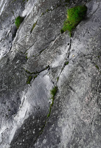 Superficie de roca granítica con mechones de hierba verde - foto de stock