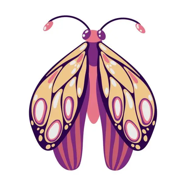 Vector illustration of beautiful butterfly Dragonfly insect. Decorative stylized insect with a botanical pattern on the wings. Beetle wings. Vector illustration on a white background.