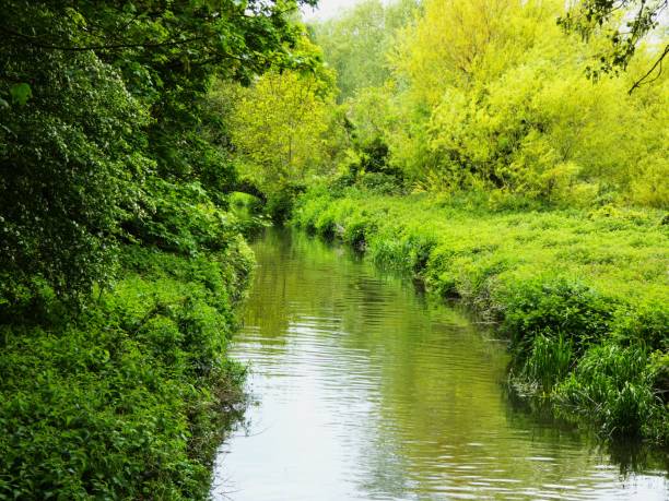 istock Colourful Canal In Canterbury 2021 1952821574