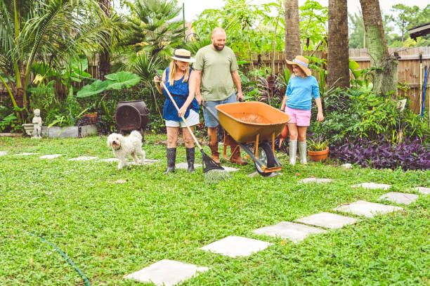 istock Multigenerational family gardening together outdoors, cooperation and togetherness 1952824321