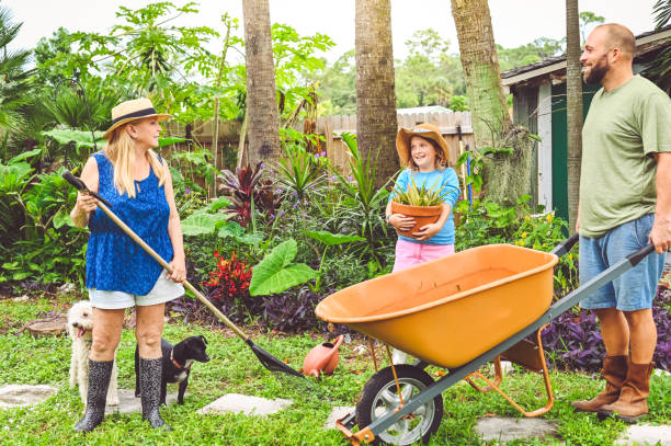 istock Multigenerational family gardening together outdoors, cooperation and togetherness 1952828521