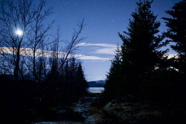 istock Night walk to the lake in moon light 1952864807