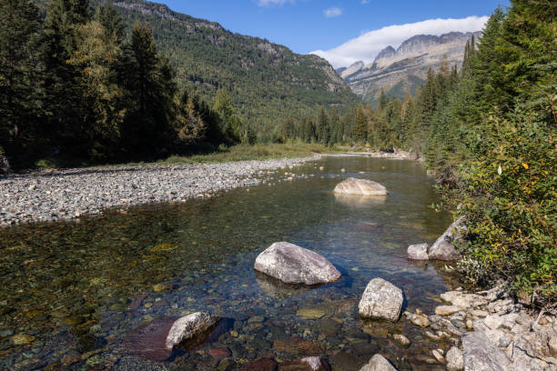 Clear beautiful river with fresh glacier melt water in Glacier National Park, Montana