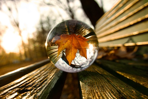 Close up of crystal ball on bench