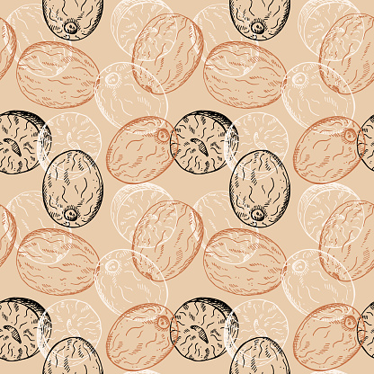 Nutmeg sketch seamless pattern engraved hand drawn vector illustration repeating background with nuts. Backdrop Mace plant, spicy nut design rapport for cooking, medicine, perfumery for textile, print, wrapping, paper, card, flyer, template