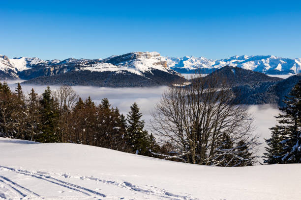 summit of dent de crolles and belledonne range from charmant som, in the chartreuse regional natural park, covered in snow above a sea of clouds - crolles imagens e fotografias de stock