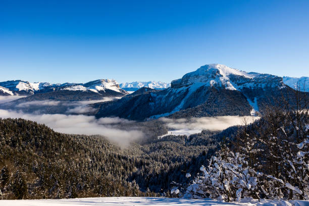 summit of chamechaude, the highest point in the chartreuse regional natural park, covered in snow above a sea of clouds and surrounded by dent de crolles and belledonne range from charmant som - crolles imagens e fotografias de stock